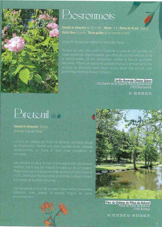 jardin3